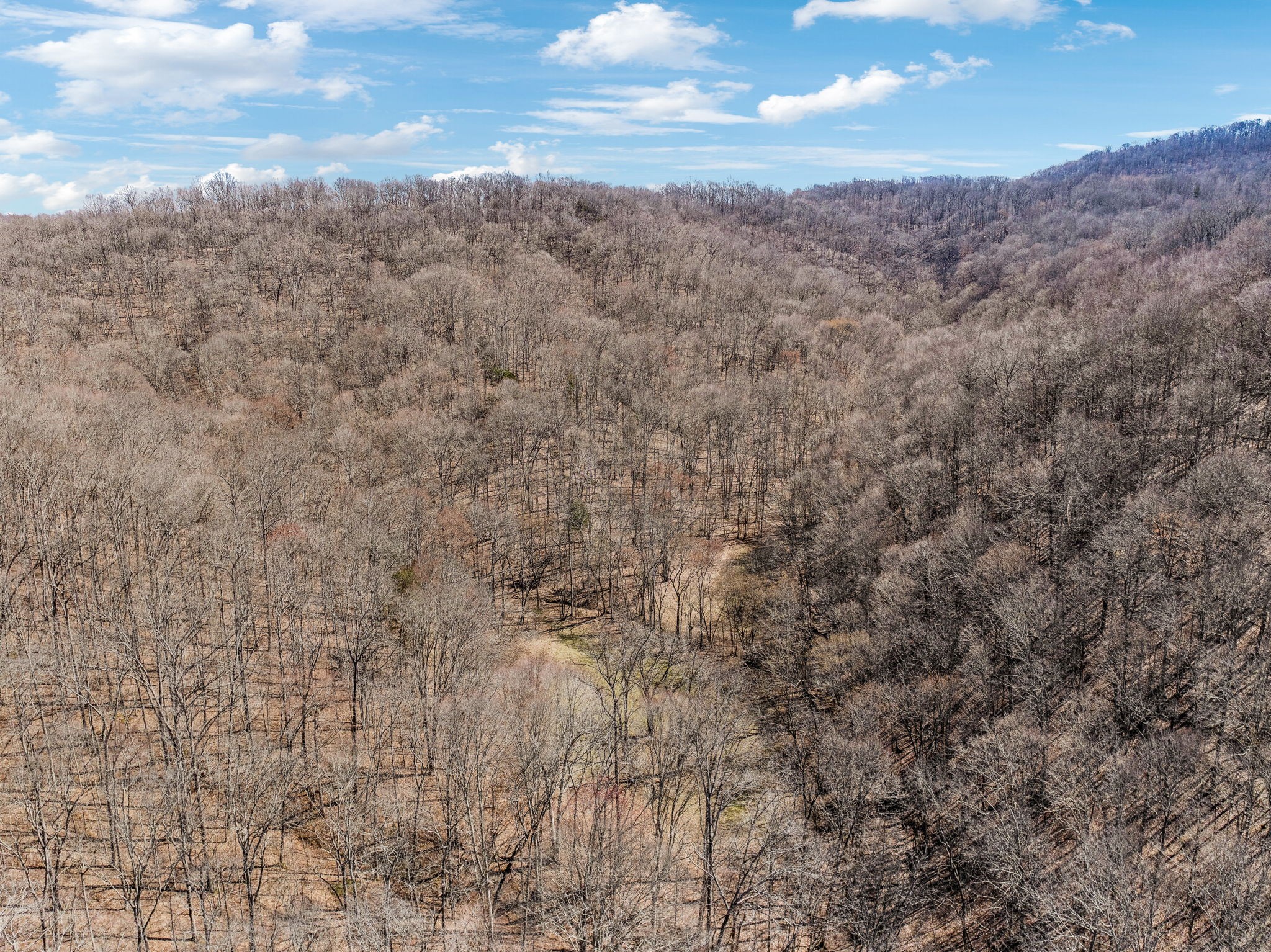 6528 Neely Creek Road Celina TN 38551