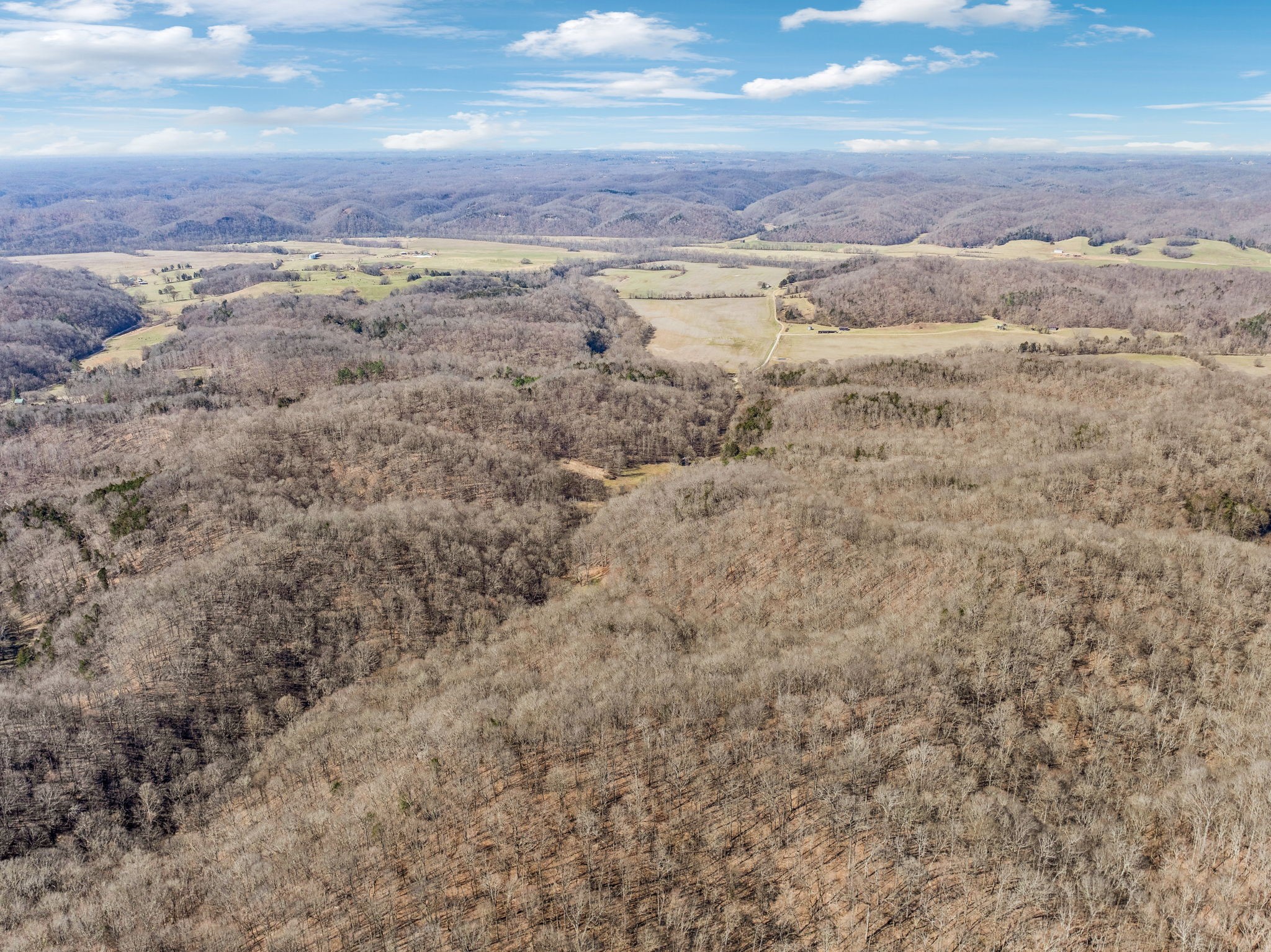 6528 Neely Creek Road Celina TN 38551