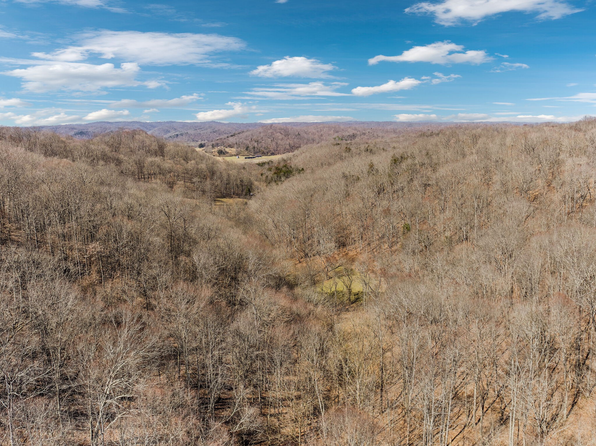 6528 Neely Creek Road Celina TN 38551