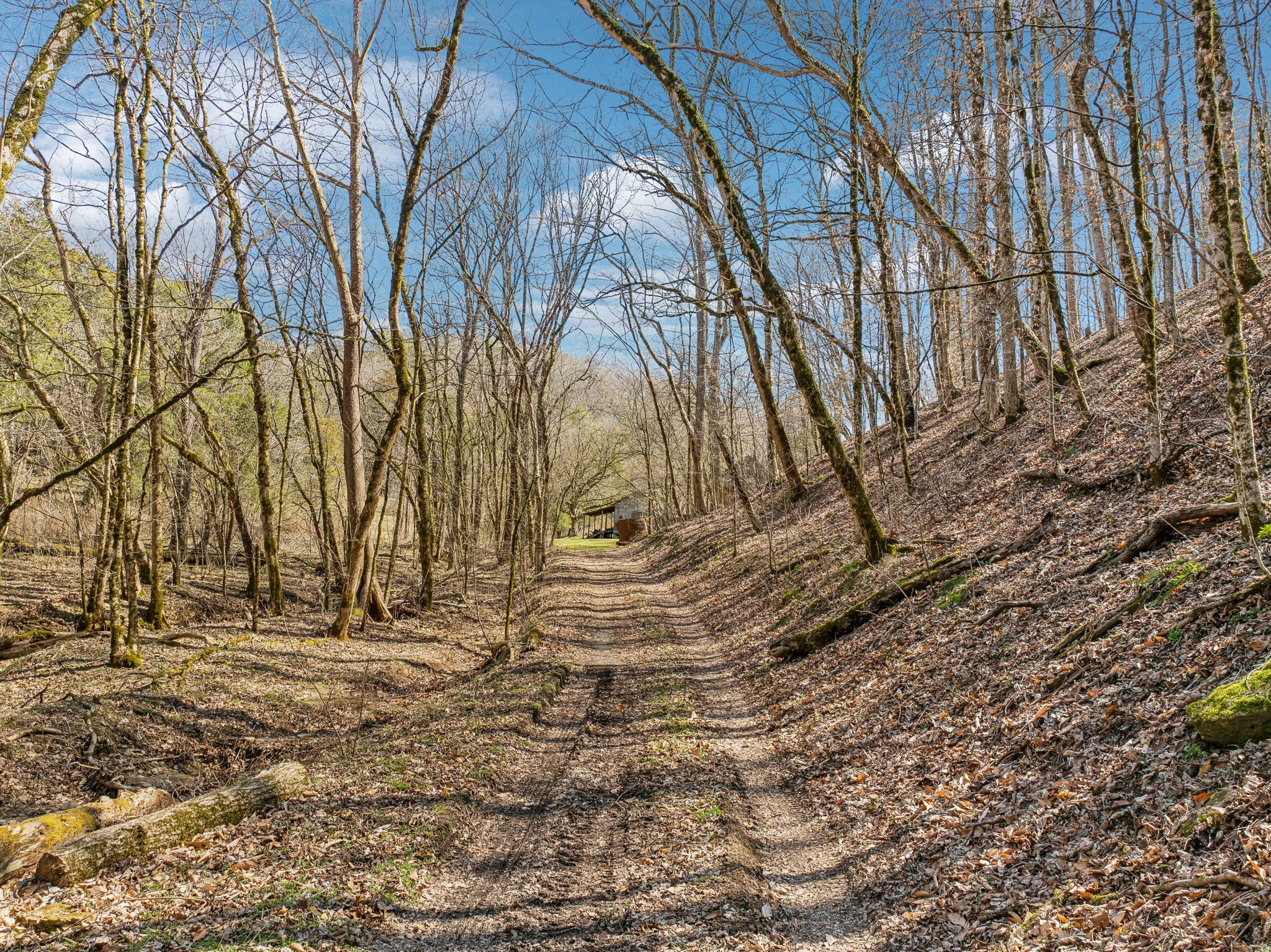 6528 Neely Creek Road Celina TN 38551