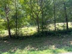 0 Shelter Branch Road Charlotte TN 37036