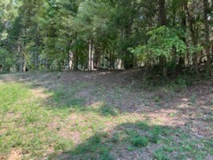 0 Shelter Branch Road Charlotte TN 37036