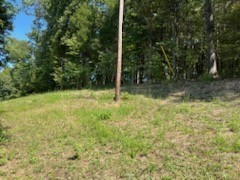 0 Shelter Branch Road Charlotte TN 37036