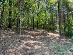 0 Shelter Branch Road Charlotte TN 37036