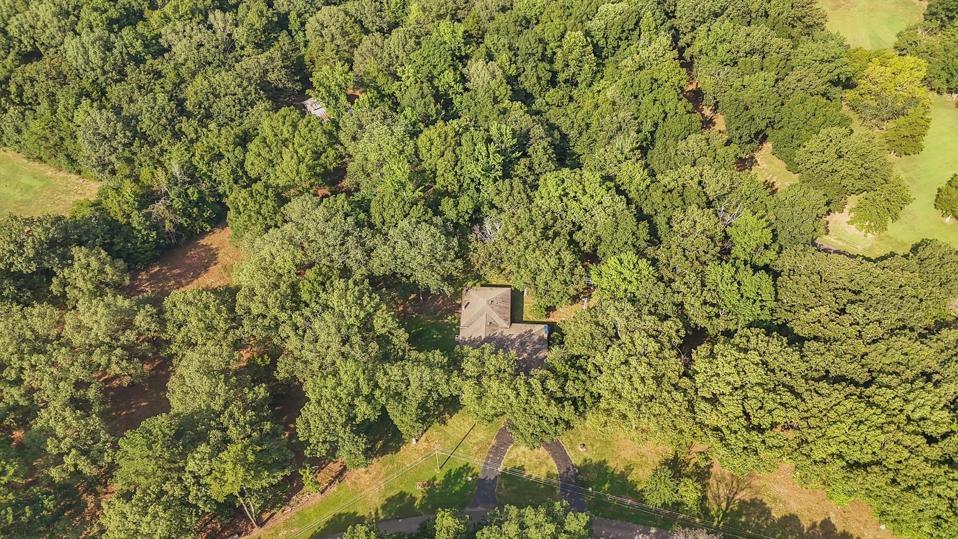 1910 Hamburg Loop Savannah TN 38372
