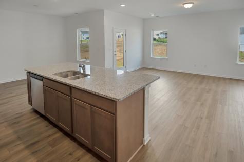 172 Summerlin Drive Gallatin TN 37066