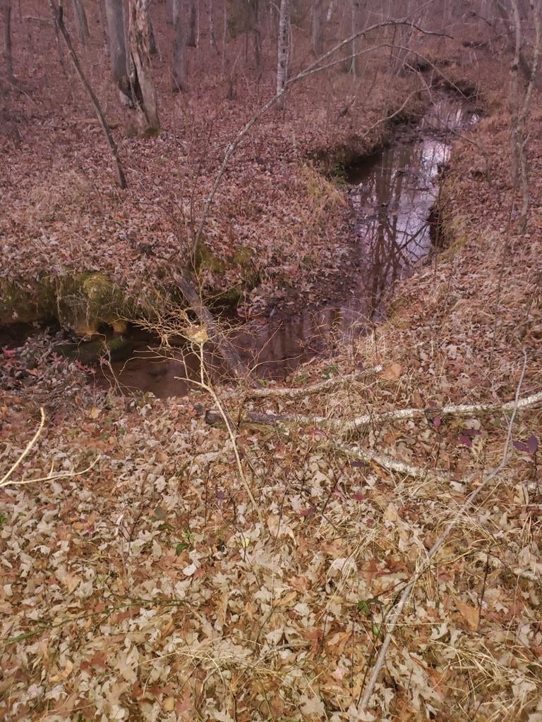 0 Indian Trail Monterey TN 38574