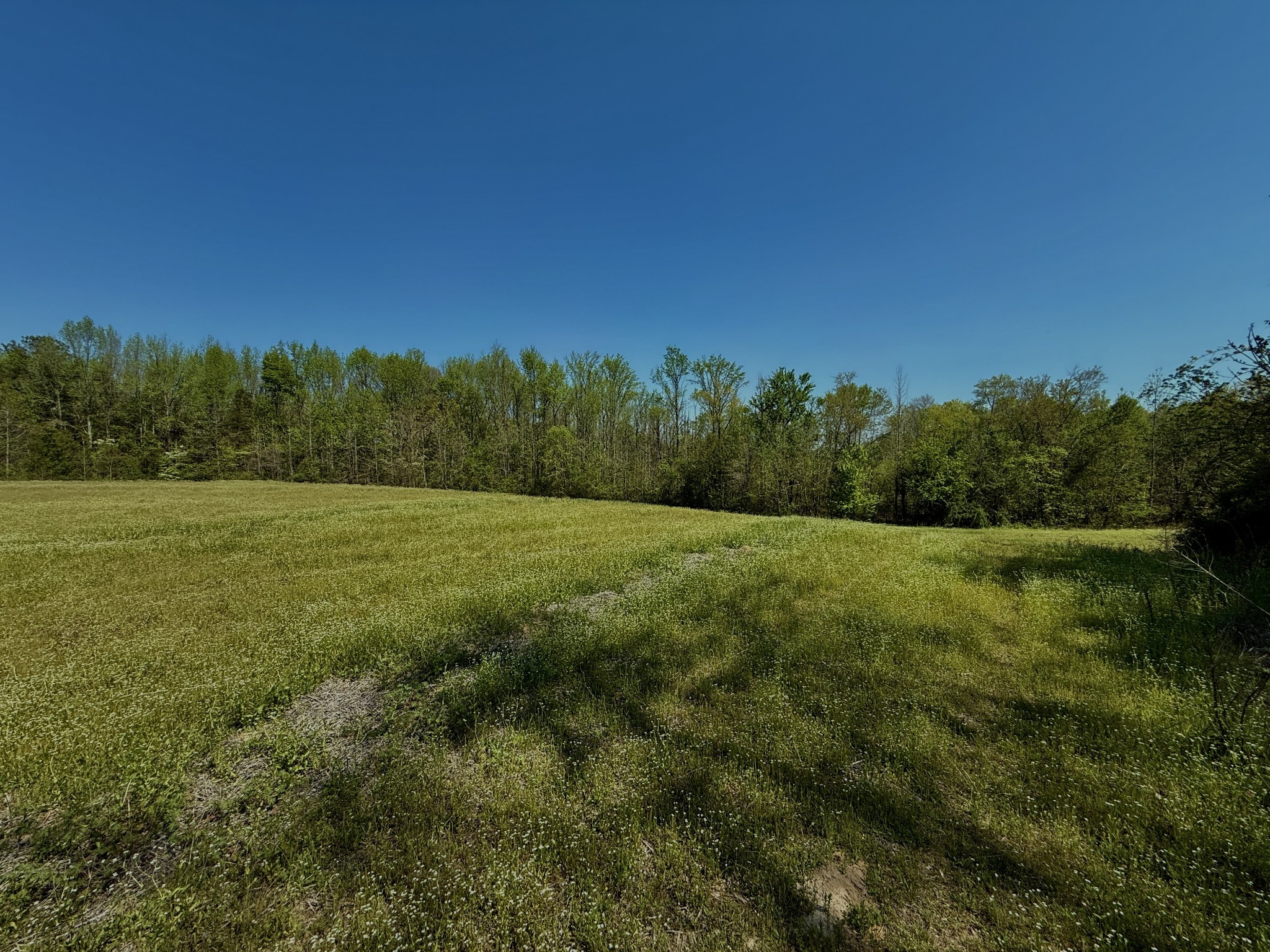 1160 Kermet Turner Road Rock Island TN 38581