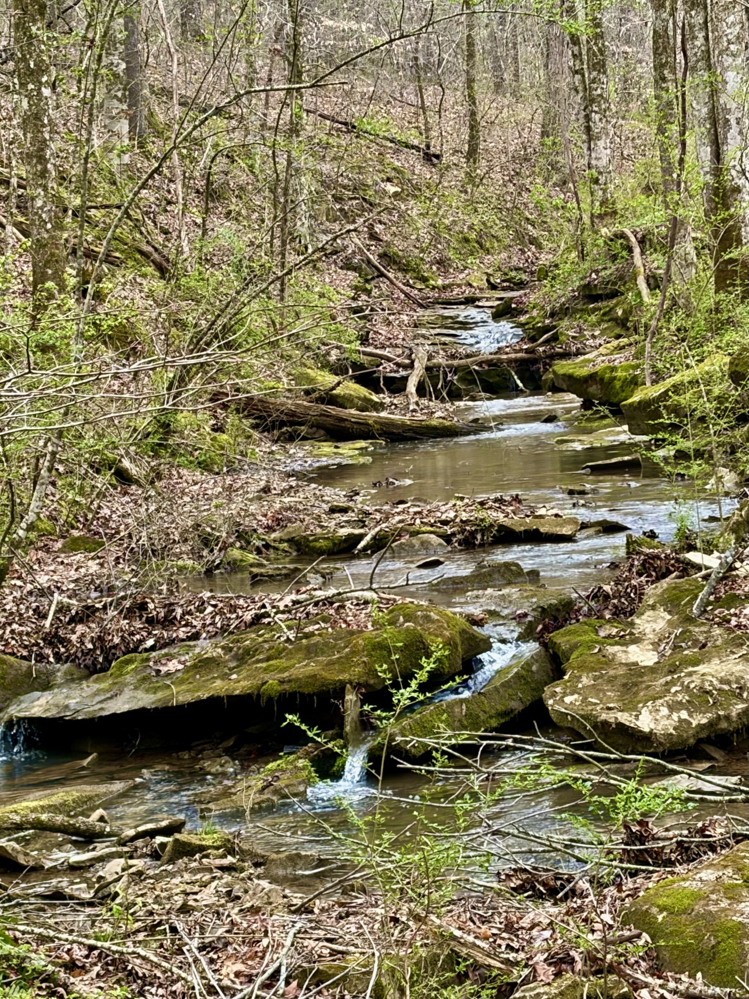 1160 Kermet Turner Road Rock Island TN 38581