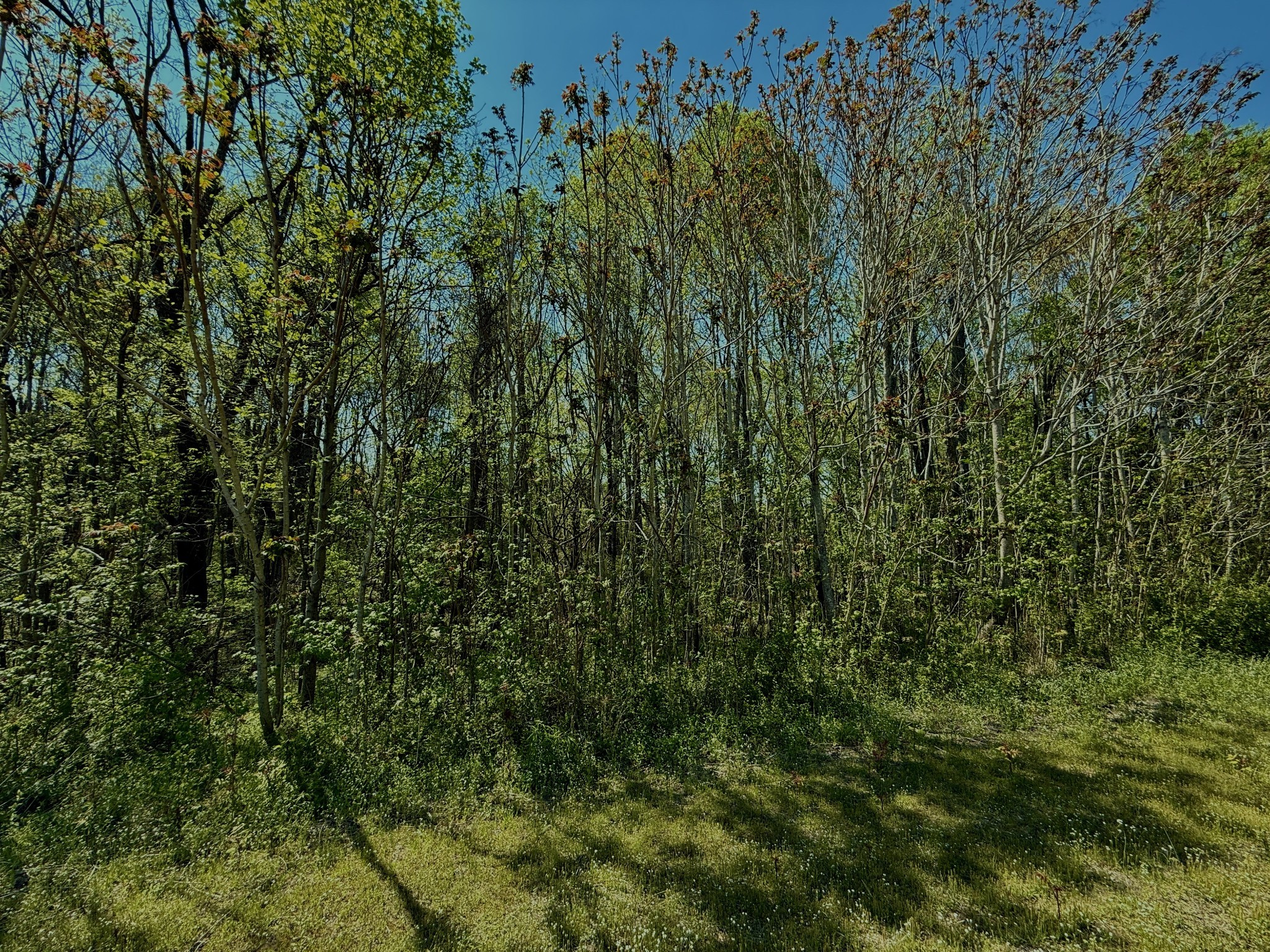 1160 Kermet Turner Road Rock Island TN 38581