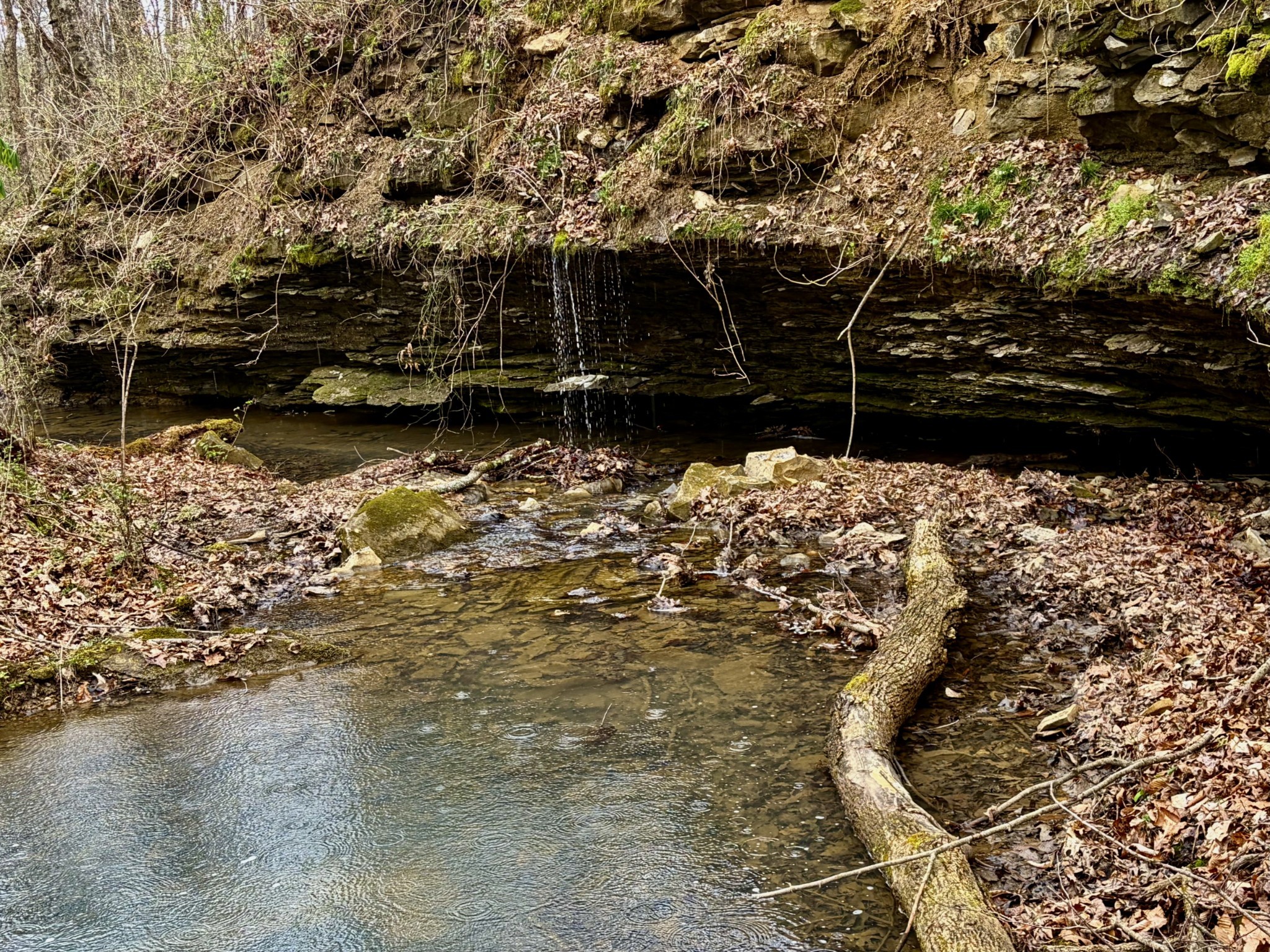 1160 Kermet Turner Road Rock Island TN 38581
