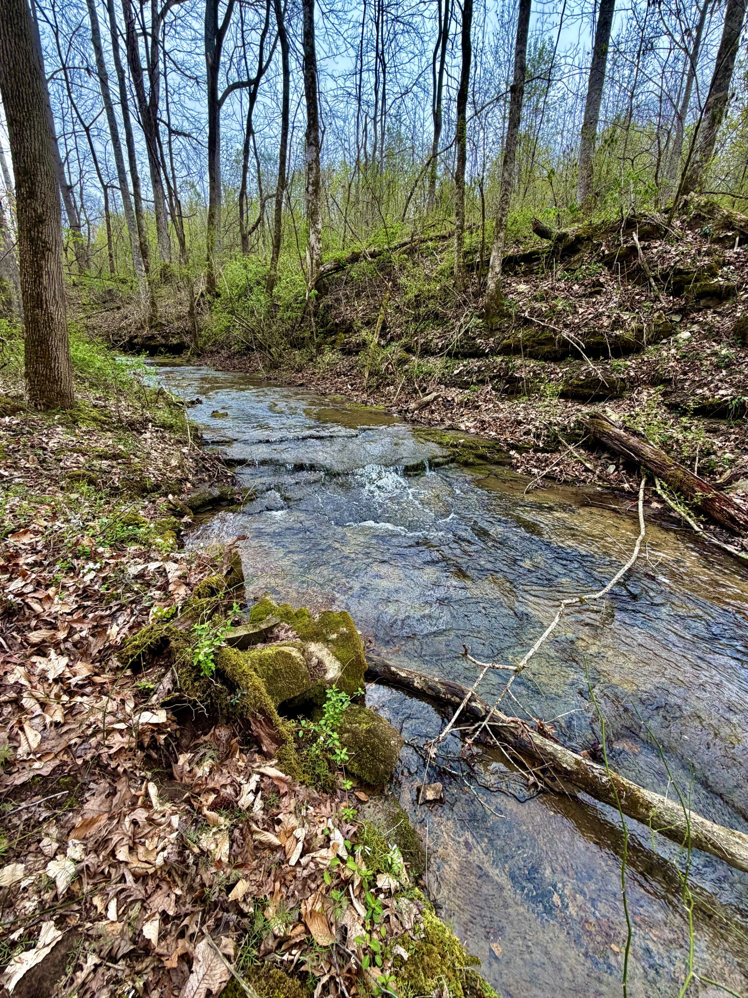 1160 Kermet Turner Road Rock Island TN 38581