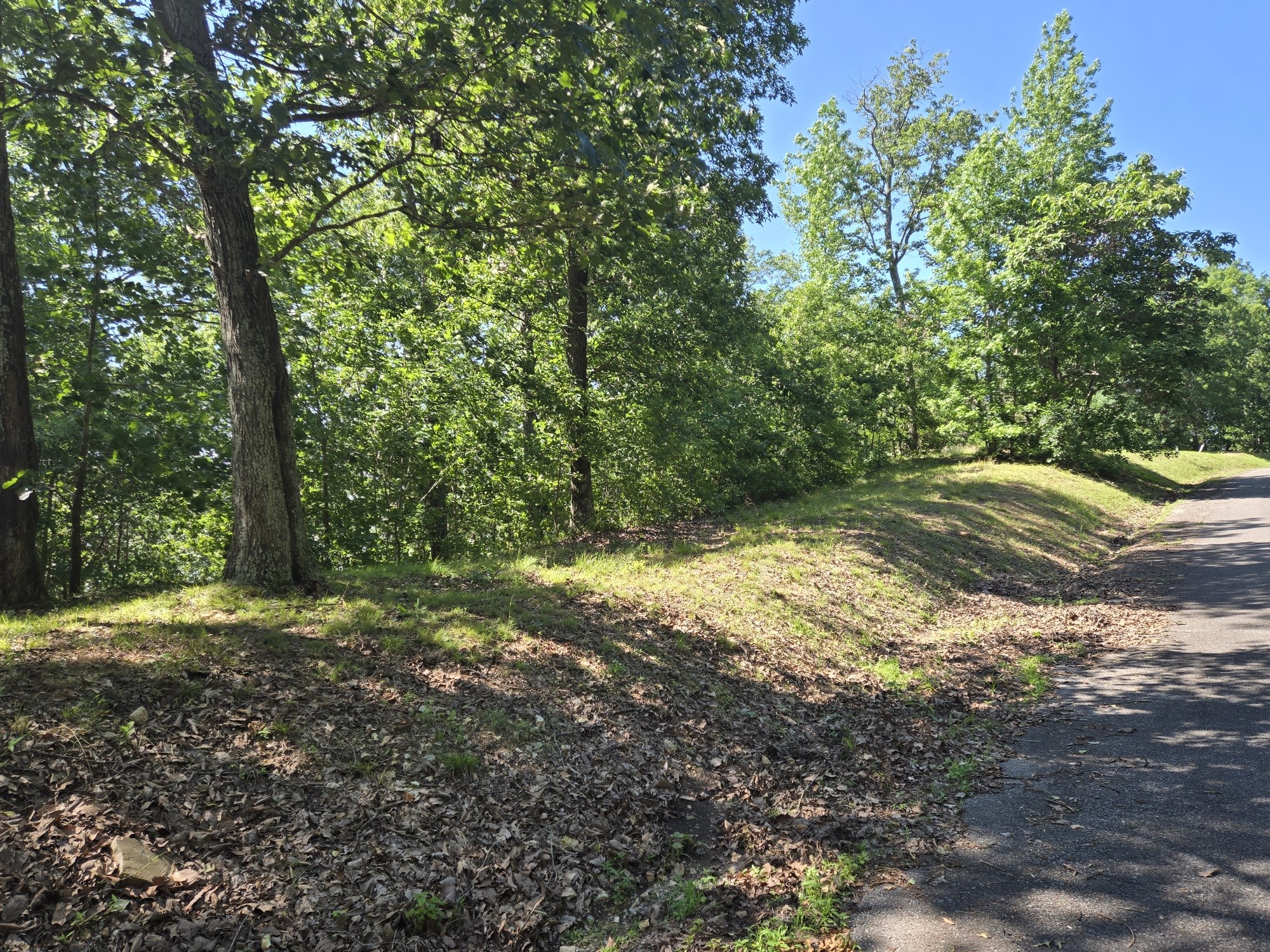0 Sunset Ridge Waverly TN 37185