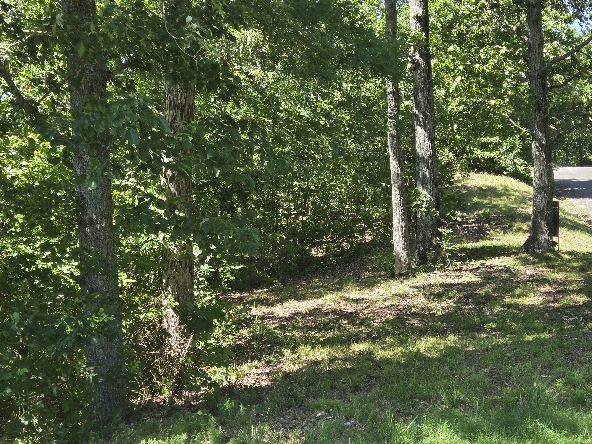 0 Sunset Ridge Waverly TN 37185