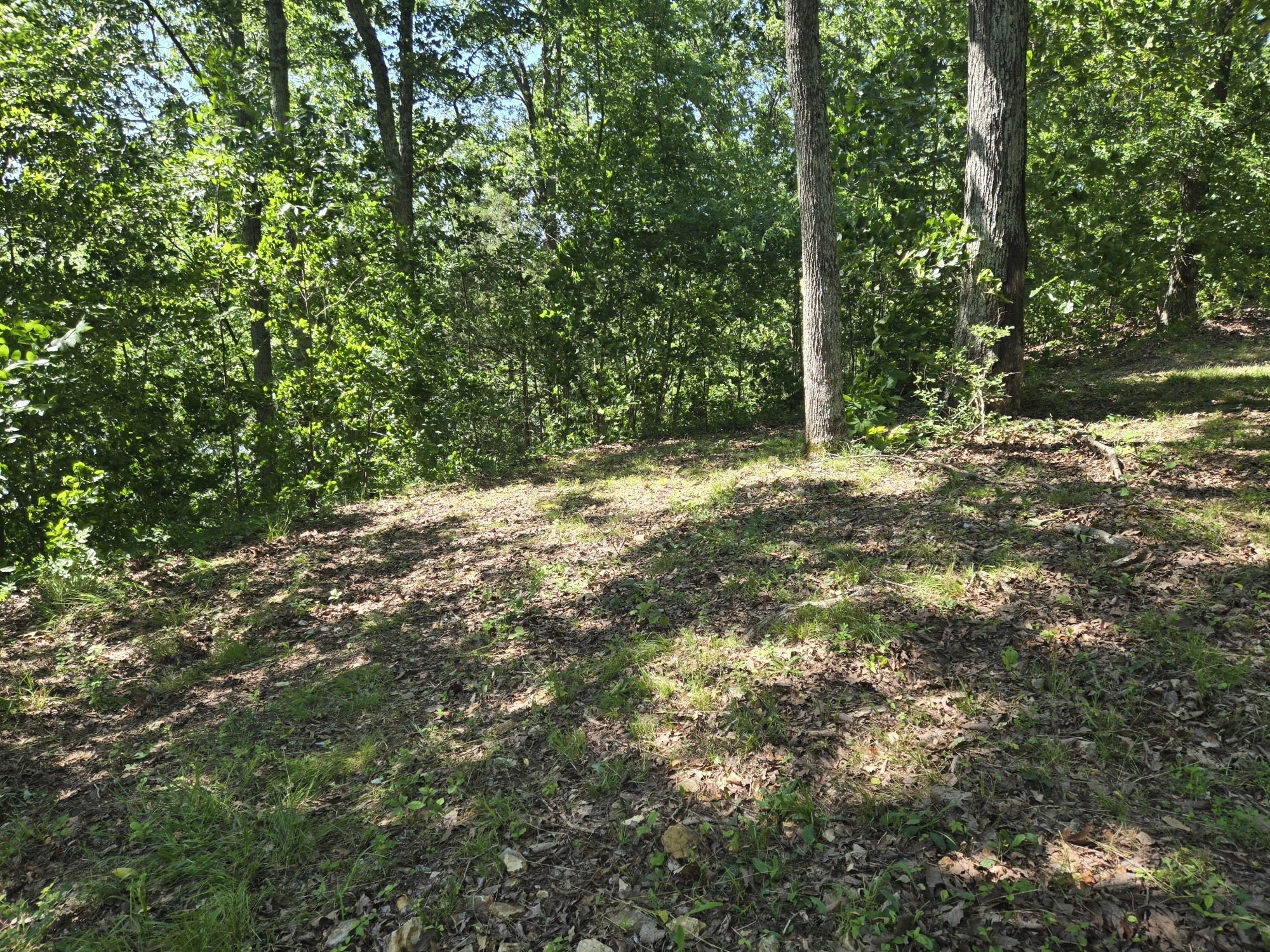 0 Sunset Ridge Waverly TN 37185