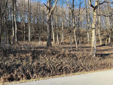 0 Thompson Hill Road Bethpage TN 37022