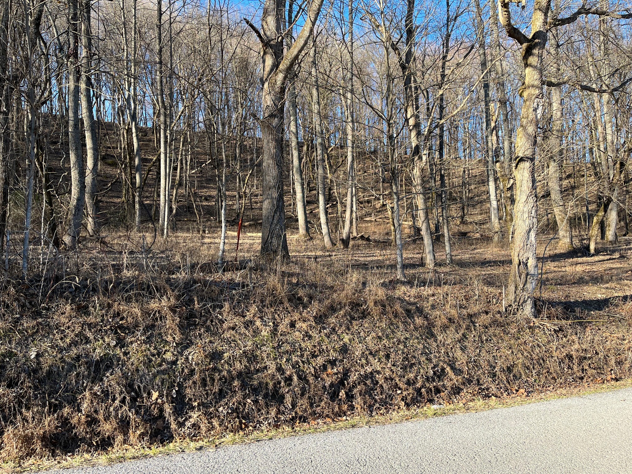 0 Thompson Hill Road Bethpage TN 37022