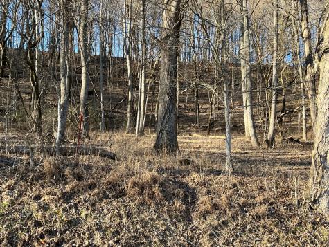 0 Thompson Hill Road Bethpage TN 37022