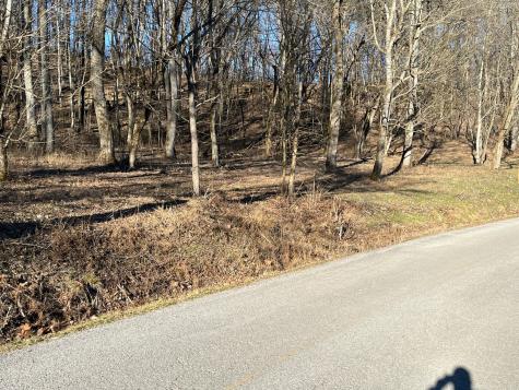 0 Thompson Hill Road Bethpage TN 37022