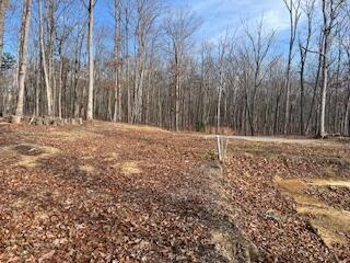 214 Gray Creek Road Graysville TN 37338