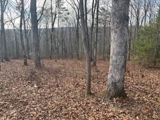 214 Gray Creek Road Graysville TN 37338