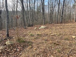 214 Gray Creek Road Graysville TN 37338