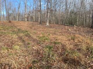 214 Gray Creek Road Graysville TN 37338