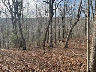214 Gray Creek Road Graysville TN 37338