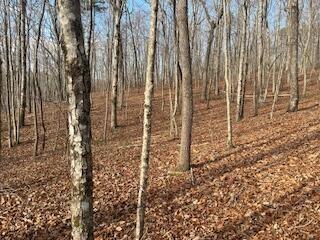 214 Gray Creek Road Graysville TN 37338