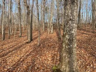 214 Gray Creek Road Graysville TN 37338