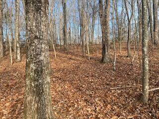 214 Gray Creek Road Graysville TN 37338