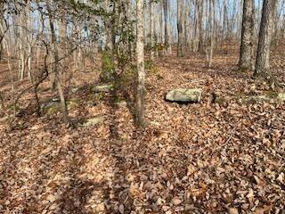 214 Gray Creek Road Graysville TN 37338