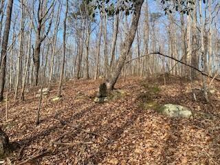 214 Gray Creek Road Graysville TN 37338