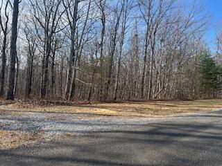 214 Gray Creek Road Graysville TN 37338