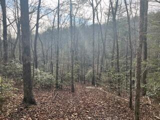 214 Gray Creek Road Graysville TN 37338
