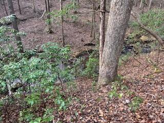 214 Gray Creek Road Graysville TN 37338