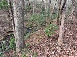 214 Gray Creek Road Graysville TN 37338