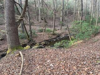 214 Gray Creek Road Graysville TN 37338