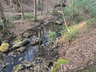 214 Gray Creek Road Graysville TN 37338