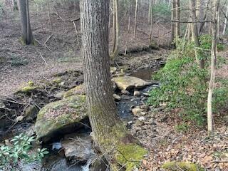 214 Gray Creek Road Graysville TN 37338