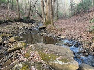214 Gray Creek Road Graysville TN 37338