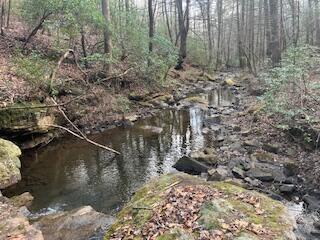 214 Gray Creek Road Graysville TN 37338