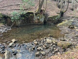 214 Gray Creek Road Graysville TN 37338