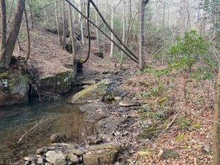 214 Gray Creek Road Graysville TN 37338