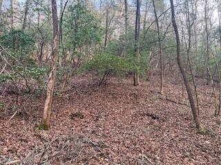 214 Gray Creek Road Graysville TN 37338
