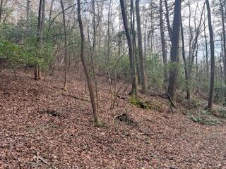 214 Gray Creek Road Graysville TN 37338