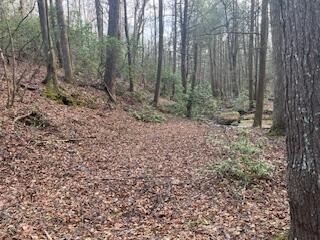214 Gray Creek Road Graysville TN 37338
