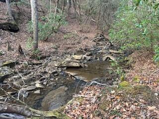 214 Gray Creek Road Graysville TN 37338