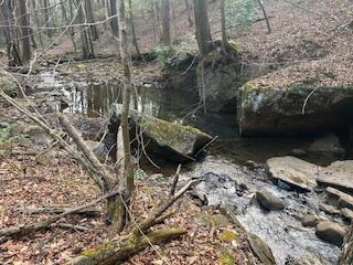214 Gray Creek Road Graysville TN 37338
