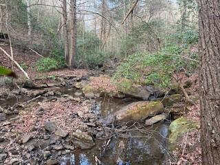 214 Gray Creek Road Graysville TN 37338